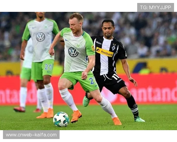 沃尔夫斯堡主场12场不胜,霍芬海姆客场强势来袭