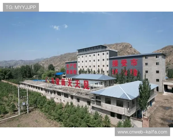 鄂托克前旗目标打造“排球特色小镇”,推动乡村振兴